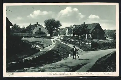 AK Keitum a. Sylt, Landschaftsmotiv mit Freisenhäusern