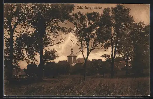 AK Schönberg in Holstein, Blick von den Wiesen zum Kirchturm