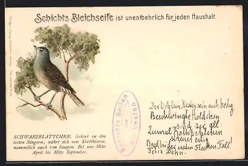 AK Schwarzwaldblättchen auf einem Ast, Reklame für Schicht`s Bleichseife