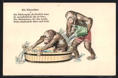 Künstler-AK Fritz Quidenus: Die Wasserkur, Affen beim Baden, vermenschlichte Tiere
