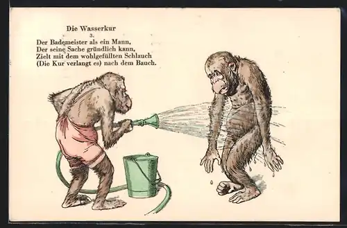 Künstler-AK Fritz Quidenus: Die Wasserkur, Bademeister bespritzt Affen mit Schlauch, vermenschlichte Tiere