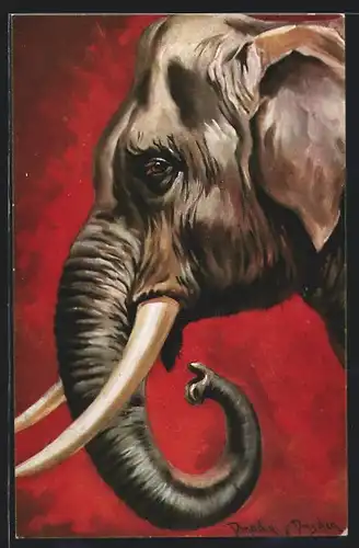 Künstler-AK Ermenegildo Carlo Donadini: Indischer Elefant im Profil