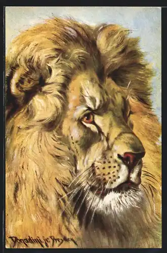 Künstler-AK Ermenegildo Carlo Donadini: Löwenkopf