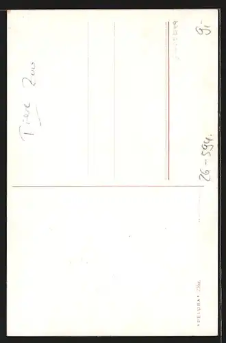 Künstler-AK Ermenegildo Carlo Donadini: Löwenkopf