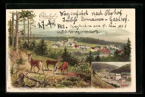 Lithographie Oberhof /Th., Gesamtansicht mit Rehen, Bahnhof