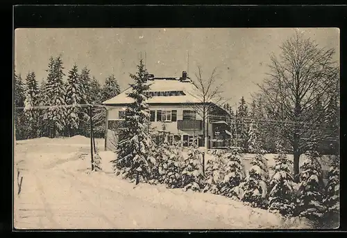 AK Bad Reiboldsgrün i. Vogtl., Villa Zöbischhöhe im Schnee