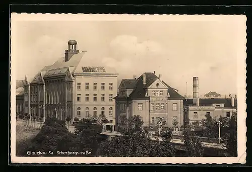 AK Glauchau /Sa., Scherbergstrasse mit Bäumen