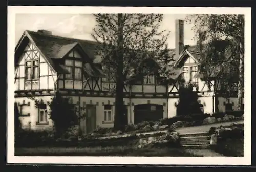 AK Bad Kösen, Blick auf Haus Grieseldis