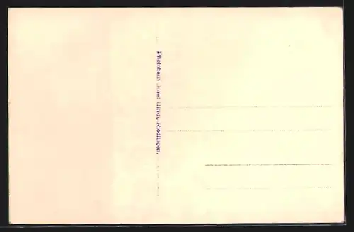 AK Riedlingen, Ortsansicht mit Wasserpartie