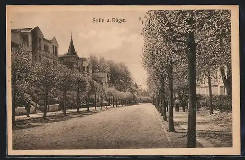 AK Sellin a. Rügen, Partie einer Allee