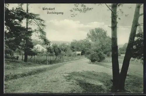 AK Uetzdorf, Strassenpartie am Dorfeingang