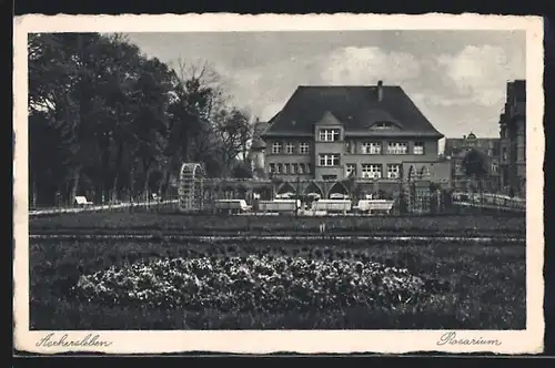 AK Aschersleben, Blick zum Rosarium