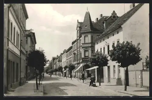 AK Falkenberg / Elster, Blick in die Friedrichstrasse