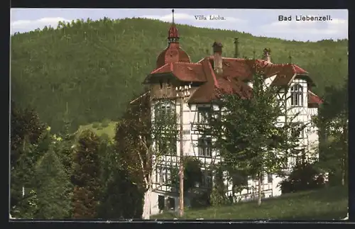 AK Bad Liebenzell, Blick zum Hotel Villa Lioba