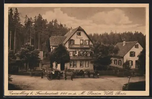 AK Zwieselberg b. Freudenstadt, Pension Villa Berta