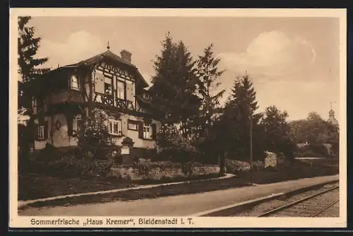 AK Bleidenstadt i. T., Pension Haus Kremer