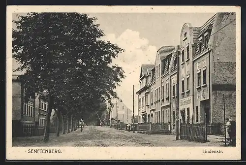 AK Senftenberg, Blick in die Lindenstrasse
