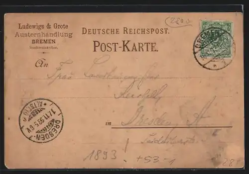 Vorläufer-Lithographie Bremen, 1895, Gasthaus Rathskeller, Rathhaus