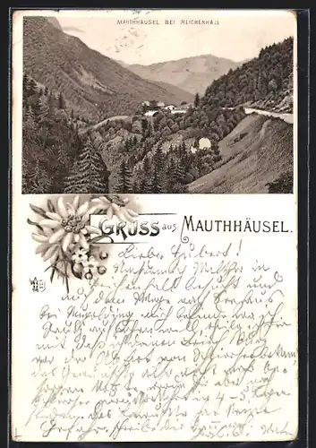 Lithographie Mauthhäusel, Ortsansicht aus der Vogelschau