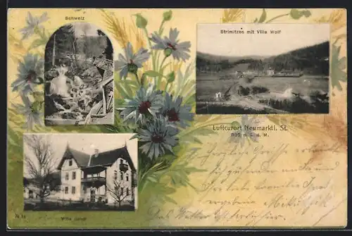 Passepartout-Lithographie Neumarkt i. St., Strimitzen mit Villa Wolf, Villa Seidt