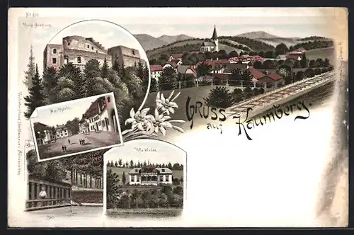 Lithographie Kaumberg, Ruine Araburg, Marktplatz, Villa Weber