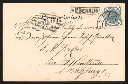 AK Ebenau b. Salzburg, Wasserfall, Dorf, Lackner`s Gasthaus