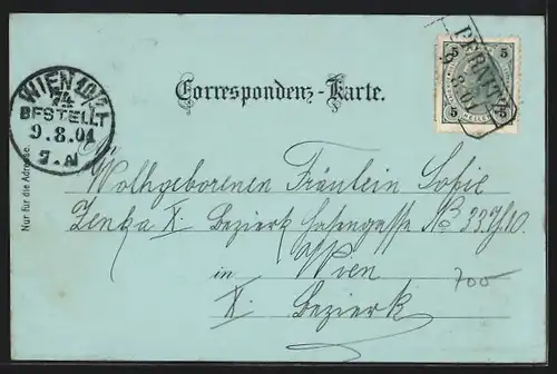 Lithographie Pernitz, Myrafälle, Türken-Loch, Ortsansicht aus der Vogelschau