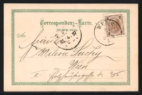 Lithographie Wels, Schloss Lichtenegg, Ringstrasse, Postgebäude