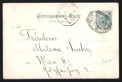 Lithographie Payerbach, Kirche, Ortsansicht aus der Vogelschau