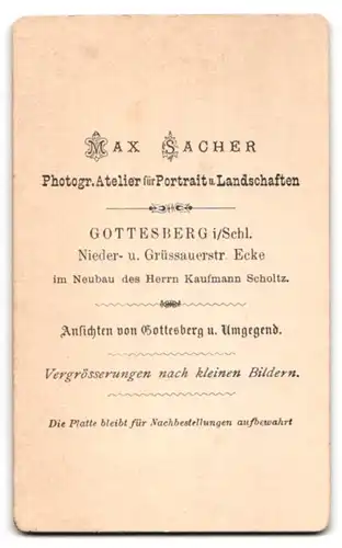 Fotografie Max Sacher, Gottesberg i. Schl., Grüssauerstr., Junger bürgerlicher Mann mit Schnurrbart und Anzug