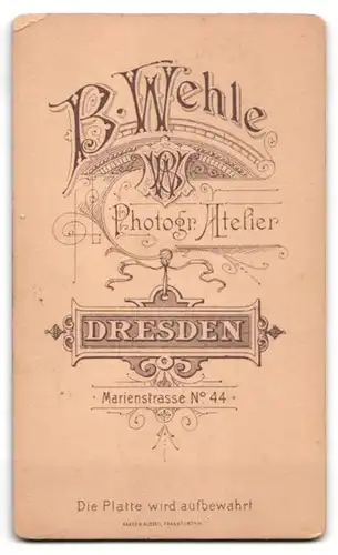 Fotografie B. Wehle, Dresden, Marienstr. 44, Junge Dame mit Silberkette und Hochsteckfirsur am leichten Lächeln