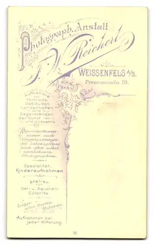 Fotografie F.W. Reichelt, Weissenfels, Promenade 19, kleiner Junge auf Stuhl