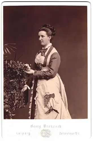 Fotografie Georg Brokesch, Leipzig, Portrait Therese von Hopffgarten (Thüringer Adel) im Kleid