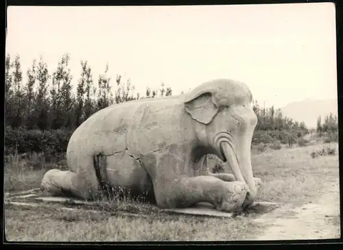 Fotografie unbekannter Fotograf, Ansicht Peking - Beijing, Skulptur Elefant am Stadtrand