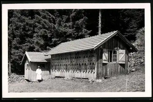 Fotografie Imkerei, Imker - Bienenhaus mit vielen Bienenstöcken