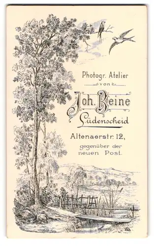 Fotografie Joh. Beine, Lüdenscheid, Altenaerstr. 12, schöne Waldlandschaft mit Schwalben und Bachlauf