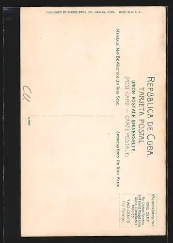 AK Santiago de Cuba, Peace Tree