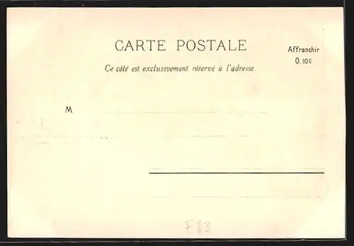 Lithographie Palmiers, Hyéres (vue générale), Dardin Zoologique