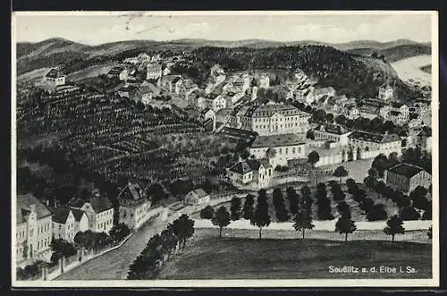 AK Seusslitz a.d. E., Gesamtansicht des Ortes