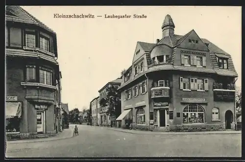 AK Dresden-Kleinzschachwitz, Laubegaster Strasse, Adler Drogerie