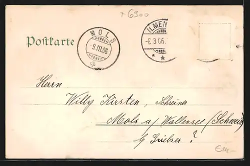 Lithographie Ilmenau, Kickelhahn, Goethe-Haus, Ortsansicht