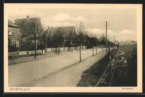 AK Kiel-Wellingdorf, Wehdenweg-Strasse mit Villen