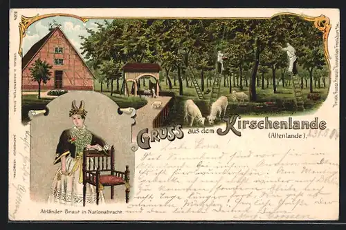 Lithographie Jork, Altländer Braut in Tracht, Kirschenpflücker im Altenlande