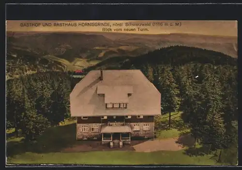 AK Sasbach, Gasthof und Rasthaus Hornisgrinde, Blick vom neuen Turm