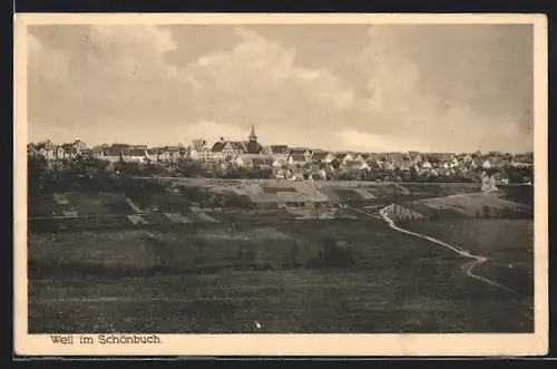 AK Weil im Schönbuch, Panorama mit Kirche