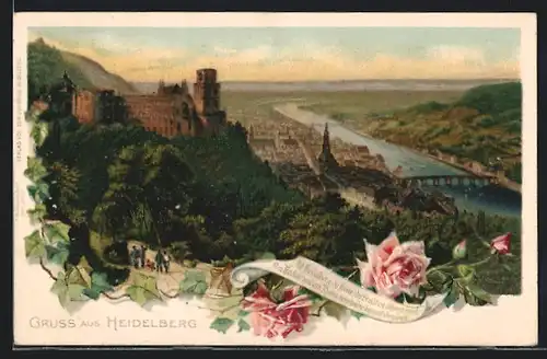 Lithographie Heidelberg, Gesamtansicht aus der Vogelschau