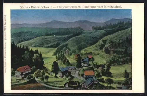 Luna-AK Hinterdittersbach / Detrichovice, Panorama vom Kirnitzschtal