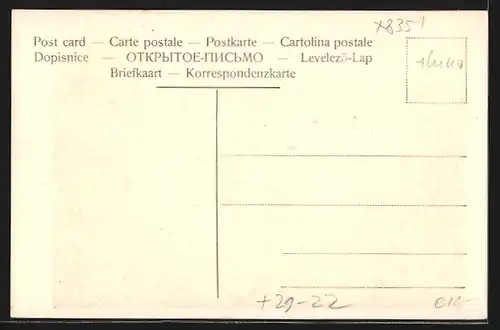 Luna-AK Hinterdittersbach / Detrichovice, Panorama vom Kirnitzschtal