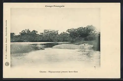 AK Congo Francais, Nilpferde im Wasser