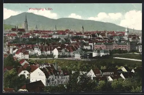 AK Freiburg i. Br., Ortsansicht bei Tag
